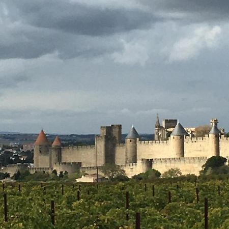 Les Orchidees Appartement Carcassonne Buitenkant foto