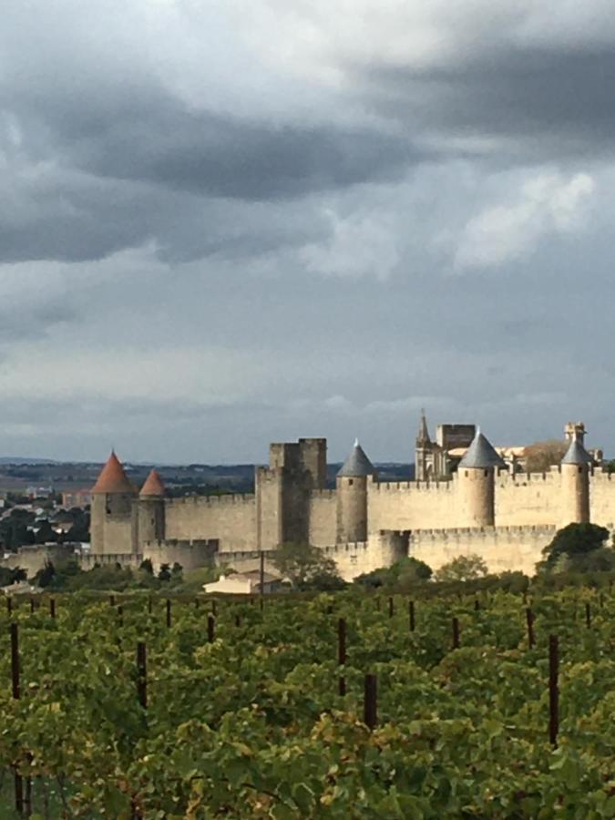 Les Orchidees Appartement Carcassonne Buitenkant foto